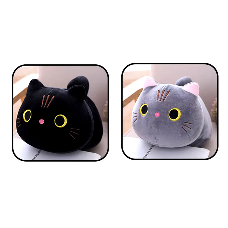Boo the Chubby Ball Cat